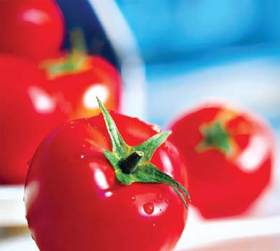 Cà  chua và  khả năng bảo vệ sức khỏe phòng chống ung thư