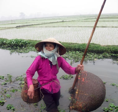 Làng đàn bà đánh dậm