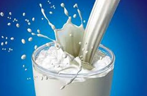 Một ly sữa chứa hơn 20 hóa chất giảm đau
