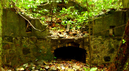 Những ngôi biệt thự cổ bí ẩn trong rừng Ba Vì 