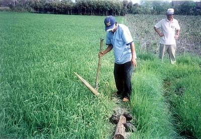 Truy tố hai bố con bẫy chuột là m chết người