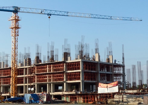 Cò đất nghỉ Tết dà i