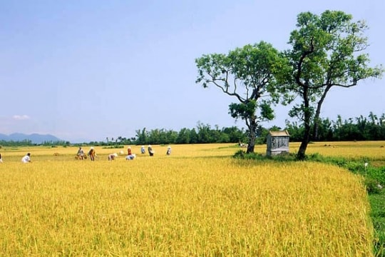 Nắng phù vân