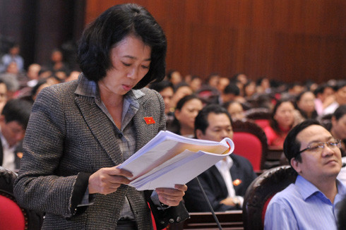Bà  Hoà ng Yến khai lý lịch ứng cử­ Quốc hội 'sai sự thực'