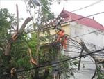  Hệ thống điện miửn Bắc tê liệt do bão số 8