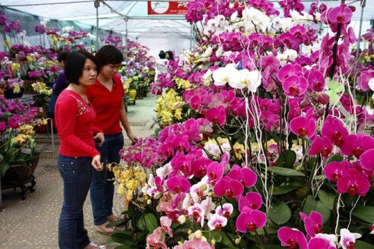 Hội chợ Xuân 2013: Giới thiệu nhiửu đặc sản các vùng, miửn phục vụ Tết
