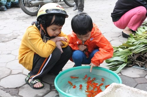'Cúng ông Công ông Táo không cầu phú quý no đủ'