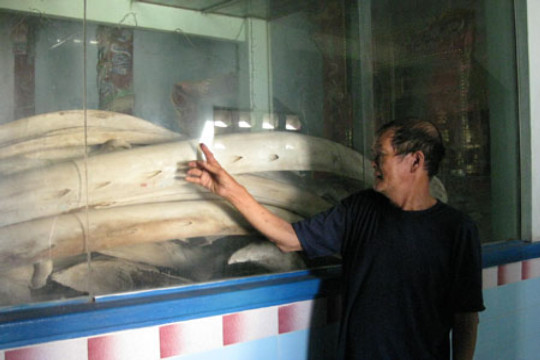Bí ẩn 120 bộ xương cổ khổng lồ ở Bình Thuận