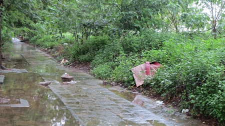 Phát hiện thi thể một phụ nữ gần hồ Linh Đà m