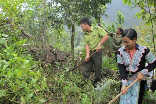 Nâng cao hiệu lực, hiệu quả hoạt động kiểm lâm