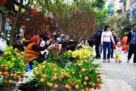 Trình hai phương án nghỉ Tết Nguyên đán 7 hoặc 9 ngà y