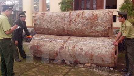 Lâm Đồng khởi tố lái xe chở gỗ lậu đâm chết cán bộ kiểm lâm