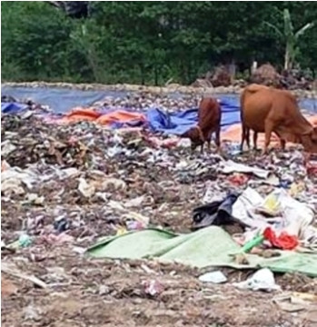 Dân hoảng hồn vì doanh nghiệp đổ rác thải nguy hại và o bãi rác sinh hoạt