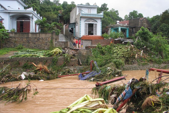 8 người chết, 6 người mất tích vì mưa lũ ở Quảng Ninh