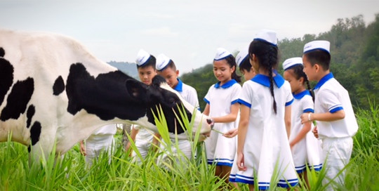 Hà nh trình 40 năm Giấc Mơ Sữa Việt