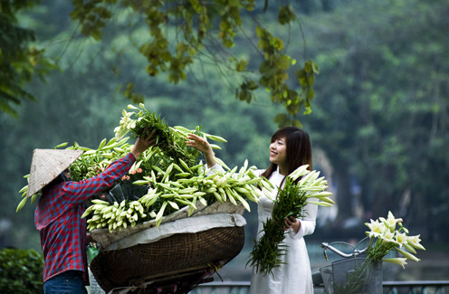 Khúc loa kèn chào hạ