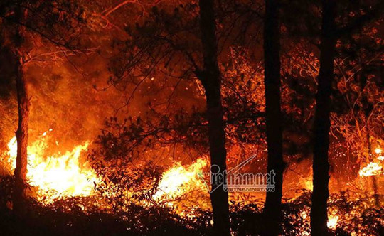 Hà Nội: Cháy rừng phòng hộ Sóc Sơn lớn nhất trong lịch sử