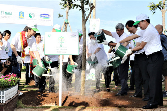 Hơn 110.000 cây xanh được trồng mới tại Bà Rịa Vũng Tàu