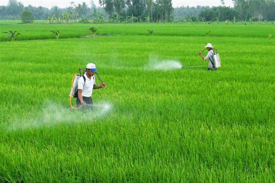 Nửa đầu năm 2017, Việt Nam nhập thuốc trừ sâu tăng 44% so với năm 2016