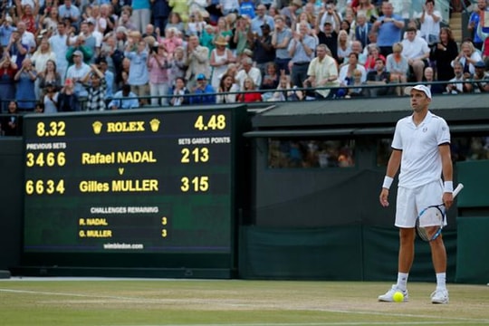 Tám anh tài hội ngộ ở tứ kết đơn nam Wimbledon