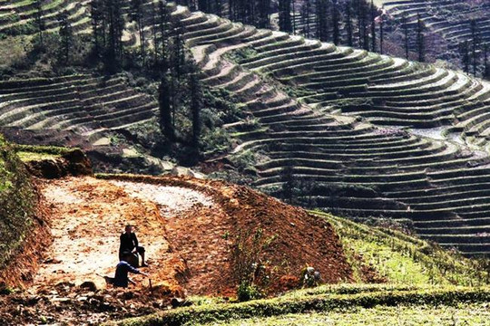 Xây dựng và canh tác ruộng bậc thang