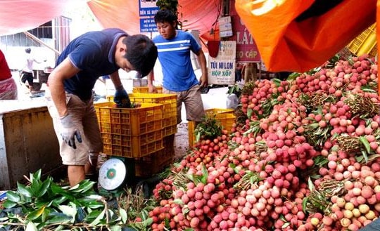 Bắc Giang thu hơn 5.300 tỷ đồng vụ vải thiều năm 2017