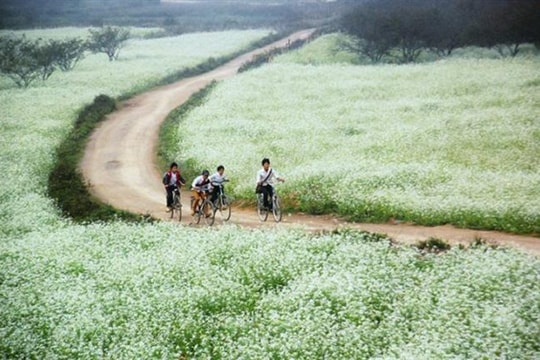 Nhớ sao thời  đi học trường làng