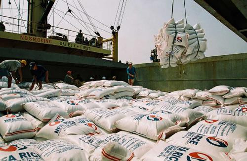 Xuất khẩu gạo: Nhiều tín hiệu khả quan