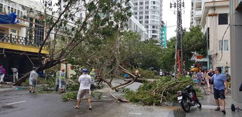 Du lịch Phú Yên, Khánh Hòa thiệt hại nặng nề do bão số 12