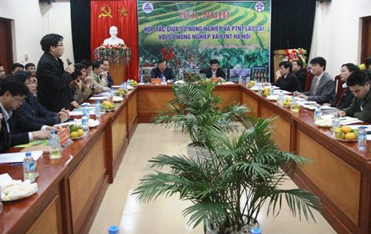 Hà Nội - Lào Cai tăng cường liên kết sản xuất, tiêu thụ nông sản