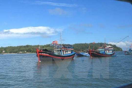 Việt Nam tham dự phiên họp Liên hợp quốc về Đại dương và Luật biển