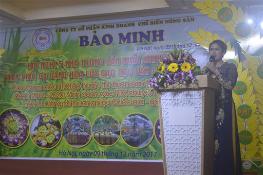 Bảo Minh - Nơi hội tụ gạo ngon Đất Việt