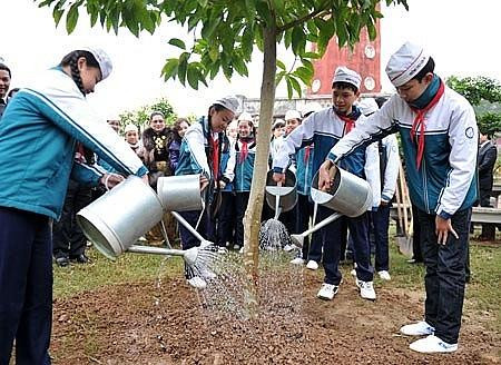 Hà Nội: Tổ chức Tết trồng cây đầu Xuân thiết thực, hiệu quả