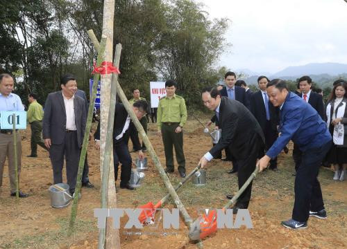 Chủ tịch nước phát động và tham gia 'Tết trồng cây đời đời nhớ ơn Bác Hồ' Xuân Mậu Tuất