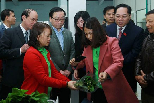 Bí thư Thành ủy Hoàng Trung Hải gặp gỡ, tiếp xúc với nông dân Thủ đô