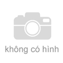 Hà Nội: "Đại lễ phóng sinh" tại bến phà Vạn Phúc