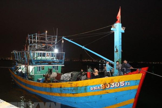 Vượt đêm tối, cứu nạn thành công tàu cá cùng 11 ngư dân gặp nạn