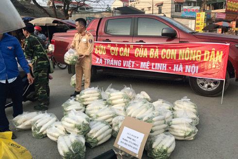 CSGT Hà Nội "giải cứu" củ cải cho nông dân