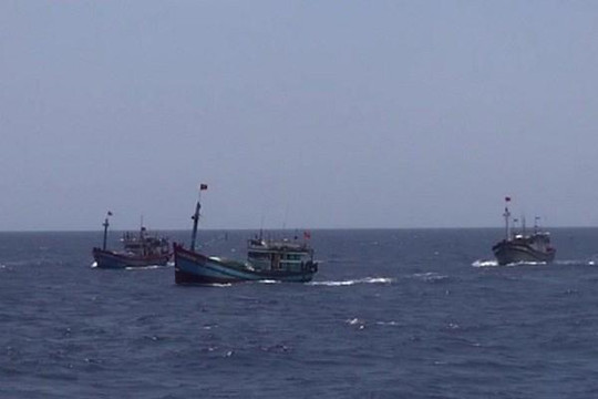 Hai tàu đánh cá của Nghệ An bị tàu vỏ sắt đâm chìm rồi bỏ chạy