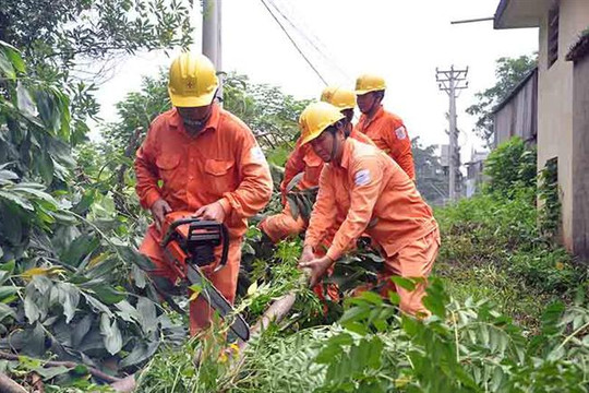 Hà Nội không để xảy ra tai nạn về điện trong mùa mưa bão