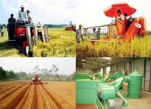Hỗ trợ tổ chức tín dụng cho vay phát triển nông nghiệp, nông thôn