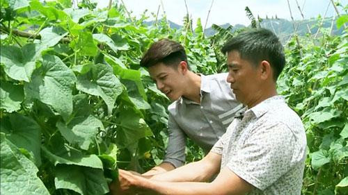 Đẩy mạnh kết nối nông sản giữa các tỉnh với Hà Nội