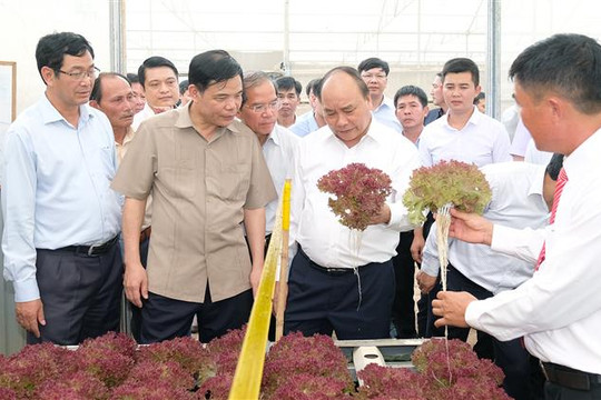 Thủ tướng thăm mô hình nông nghiệp sạch tại Lâm Đồng