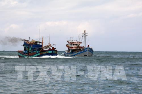 Thông tin tàu Hải Dương 19 đâm chìm tàu cá Bình Thuận trên vùng biển Bà Rịa-Vũng Tàu là không chính xác
