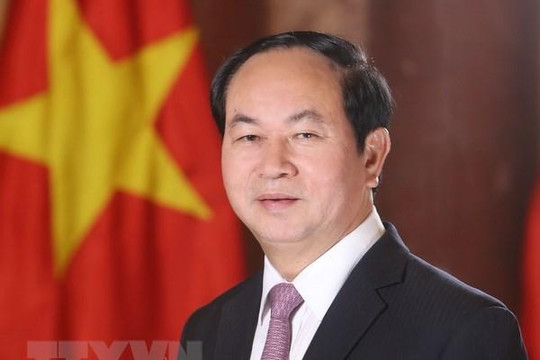 Chủ tịch nước Trần Đại Quang trả lời phỏng vấn báo chí Ai Cập