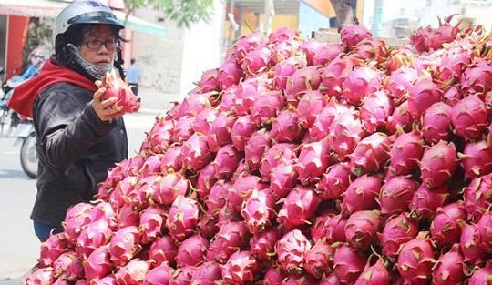 Nguyên nhân nông sản Việt gặp khó tại thị trường Trung Quốc?