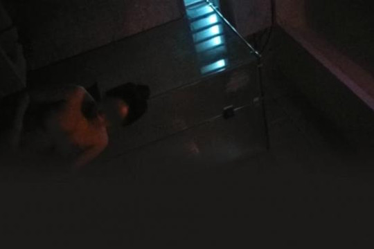 Tâm điểm dư luận: Nhân viên massage nữ không mảnh vải che thân đưa khách "lên đỉnh" giữa lòng Hà Nội
