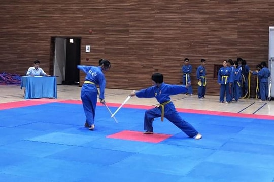 Khai mạc Giải Vovinam các câu lạc bộ Hà Nội năm 2018