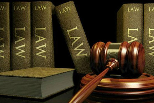 Nghệ An: Tòa án cấp sơ thẩm vi phạm nghiêm trọng thủ tục tố tụng dân sự?
