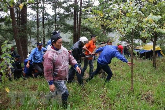 Lâm Đồng: Một du khách nước ngoài tử nạn ở thác Datanla Đà Lạt